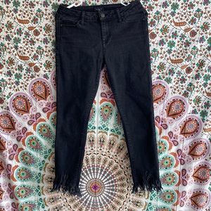 Celebrity Pink Black frayed bottom jeans